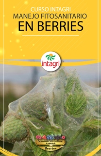 Curso Intagri Sobre El Manejo Fitosanitario En Berries Inicio