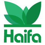 Haifa