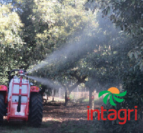 Presentan Nebulizador en Frío para el Cultivo de Aguacate