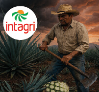 El Futuro de la Producción de Agave en México