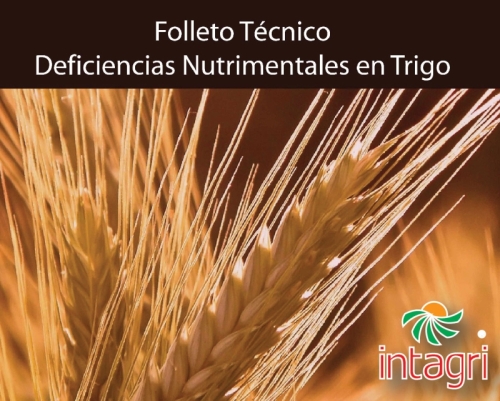 Folleto Técnico, Deficiencias Nutrimentales en Trigo