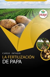 Curso Virtual: La Fertilización de Papa Curso Virtual: La Fertilización de Papa