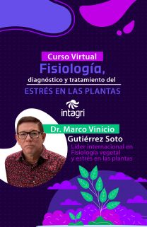 Curso Virtual Fisiología, diagnóstico y tratamiento del estrés en las plantas