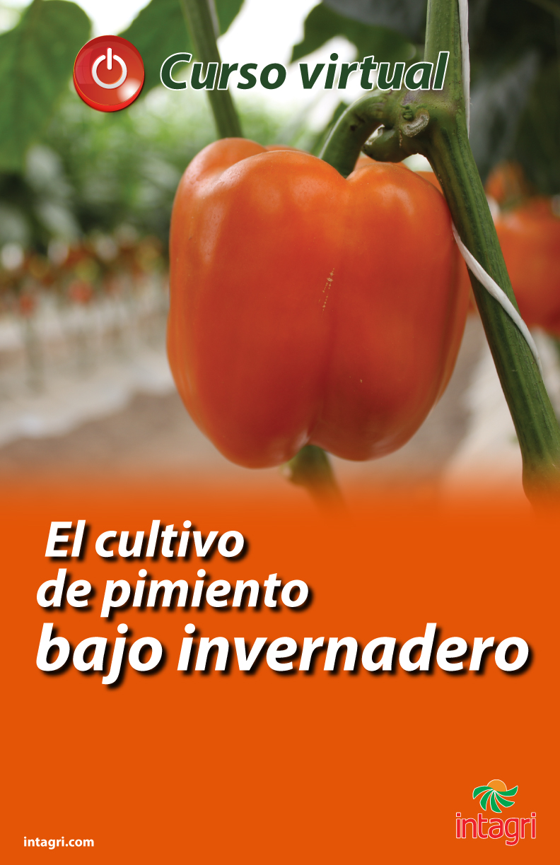 Curso virtual: El Cultivo de Pimiento en Invernadero