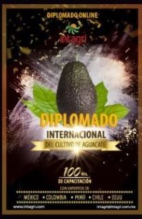 Diplomado Internacional del Cultivo de Aguacate