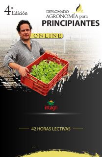 Diplomado de agronomía para principiantes