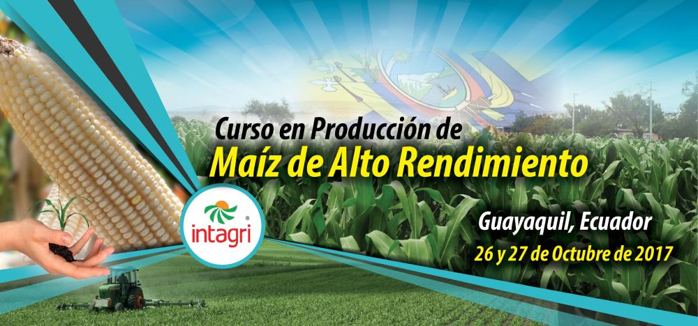 Producción de Maíz de Alto Rendimiento en Ecuador