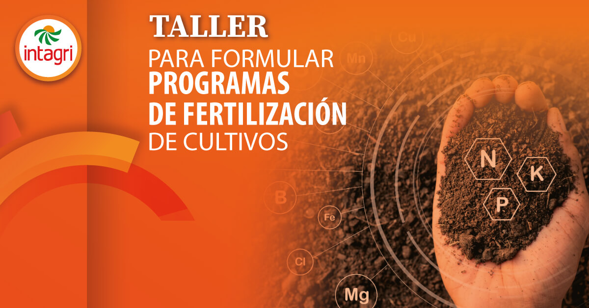 Taller Para Formular Programas De Fertilización De Cultivos Mochis