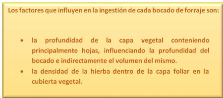 Los factores que influyen en la ingestión de cada bocado de forraje