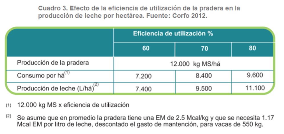 eficiencia de una pradera