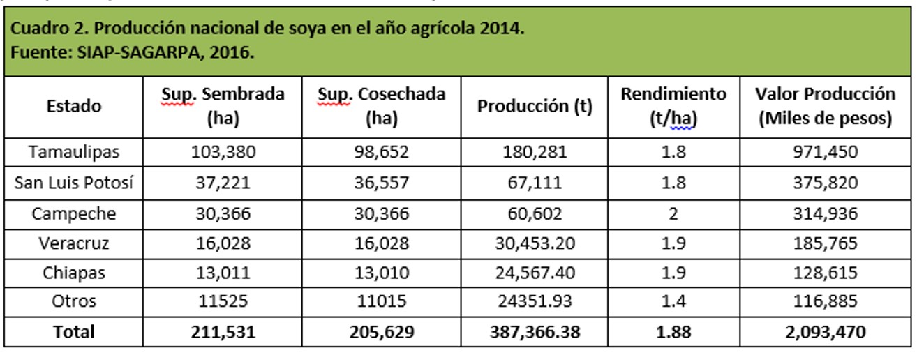 Produccion