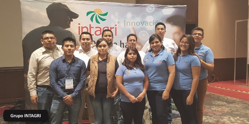 Intagri grupo de trabajo