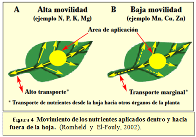 La fertilización foliar