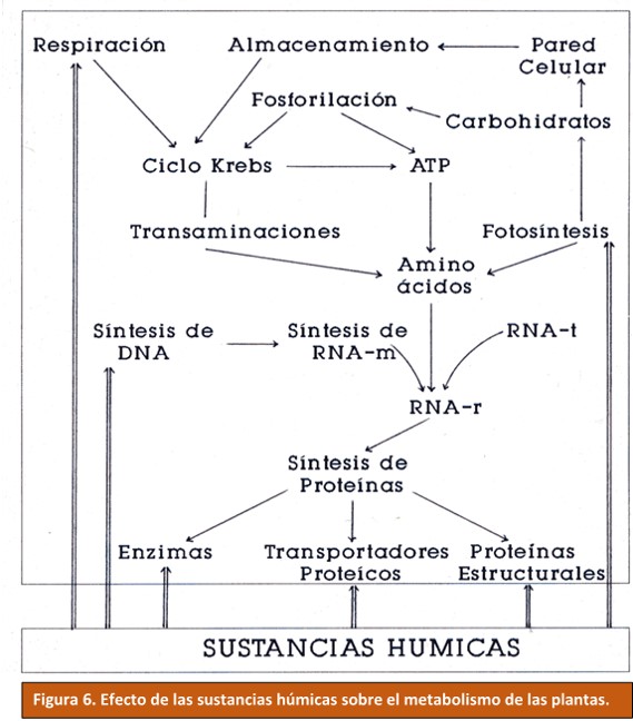 Efectos