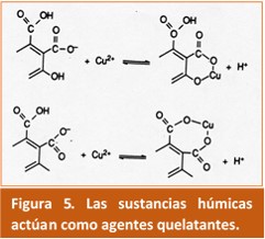 Sustancias Humicas