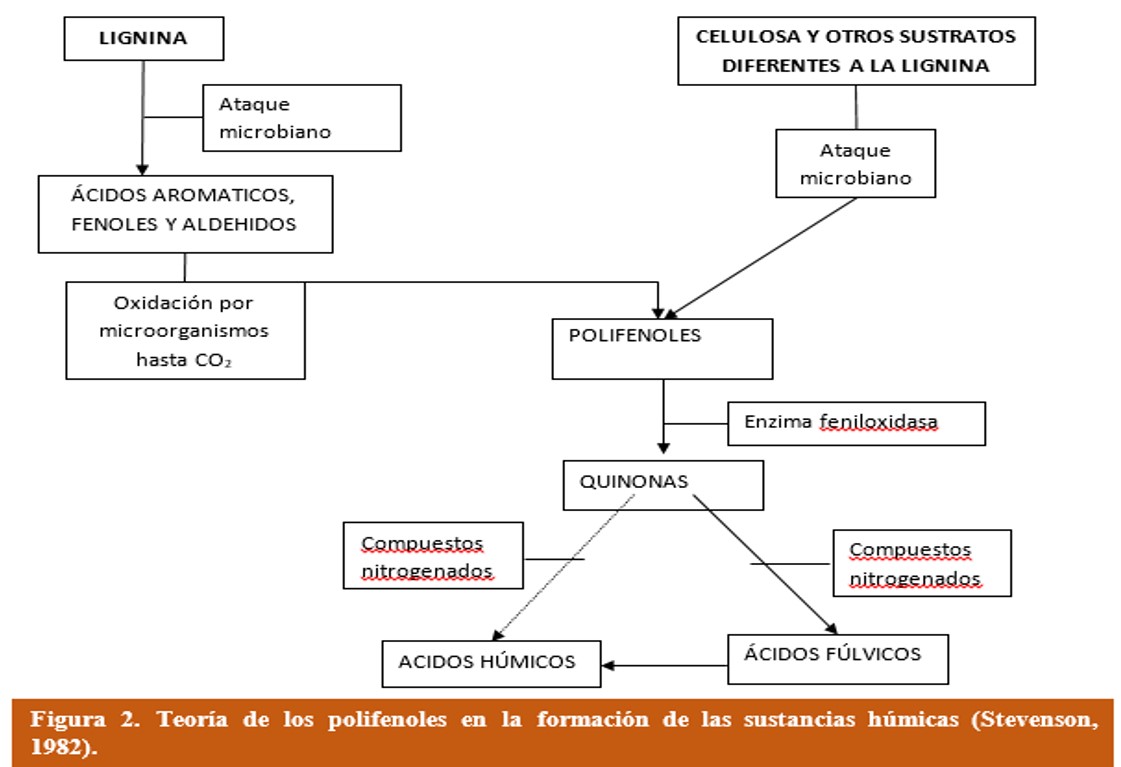 Teoria