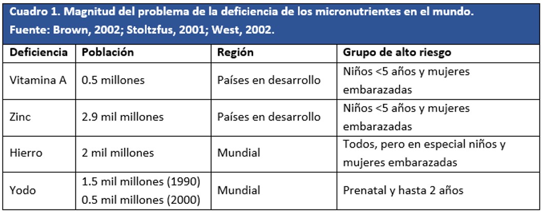 Magnitud