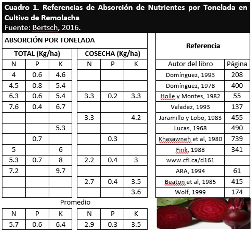 Referencias