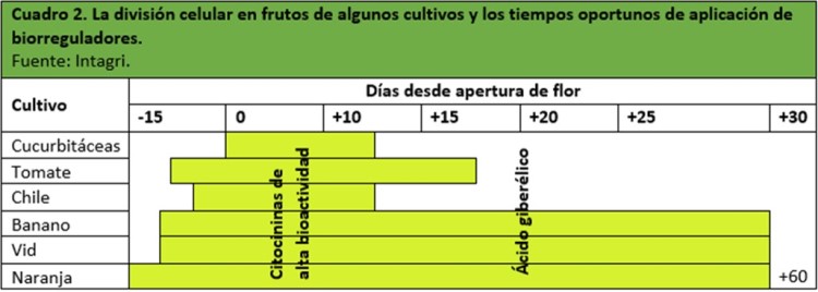 División Celular