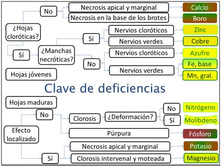  síntomas-de-deficiencia