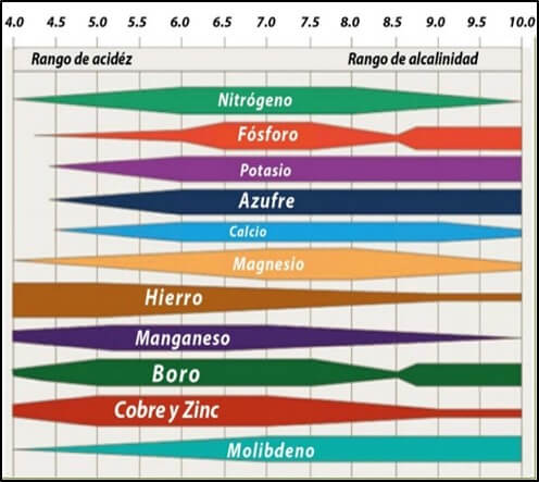 Diagrama sobre la disponibilidad de nutrimentos en función del pH.