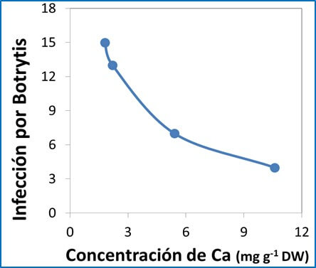 Calcio en la nutrición vegetal