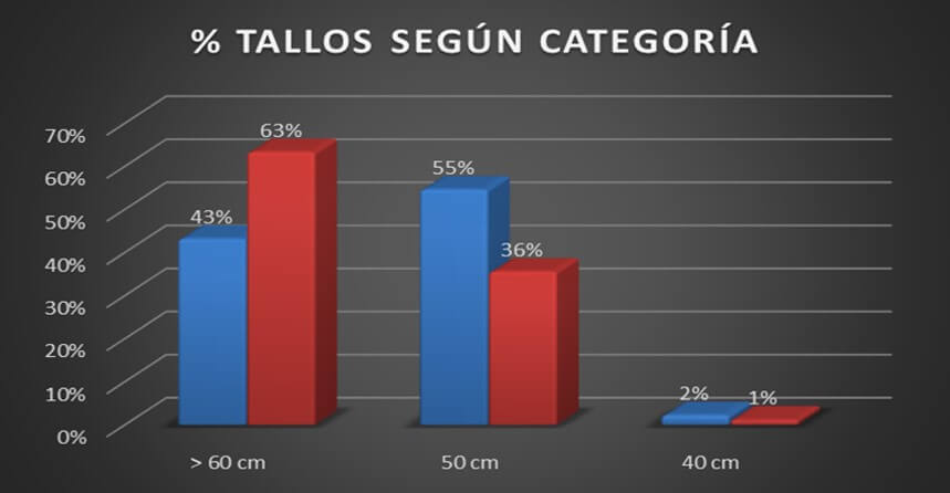 Producción de tallos, según su calidad