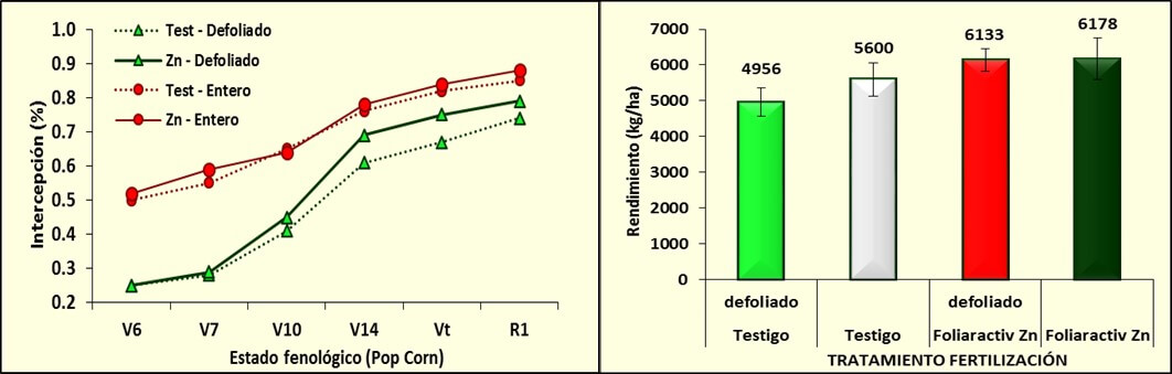 Aplicación foliar de micronutrientes