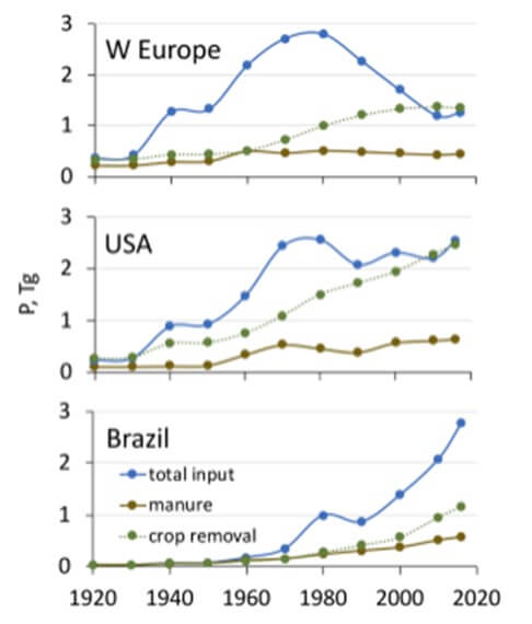 Saldos históricos del P