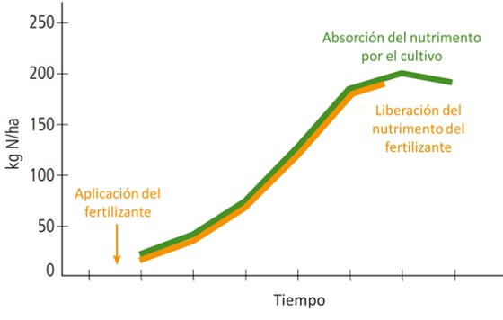 Liberación del nutrimento en un fertilizante ideal