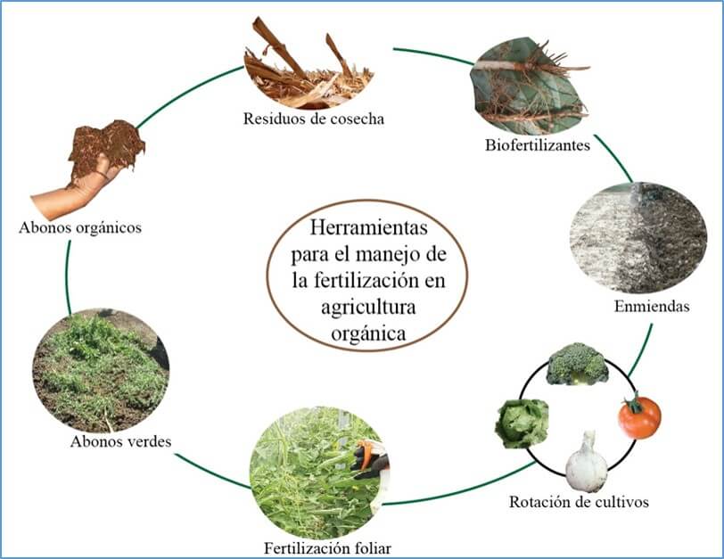 Nutrición Orgánica de Cultivos