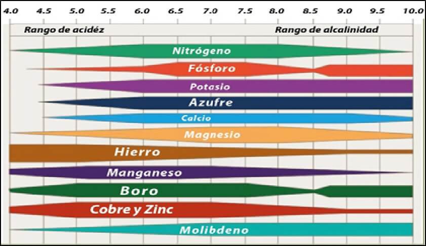  Disponibilidad de nutrientes  respecto al pH del suelo 