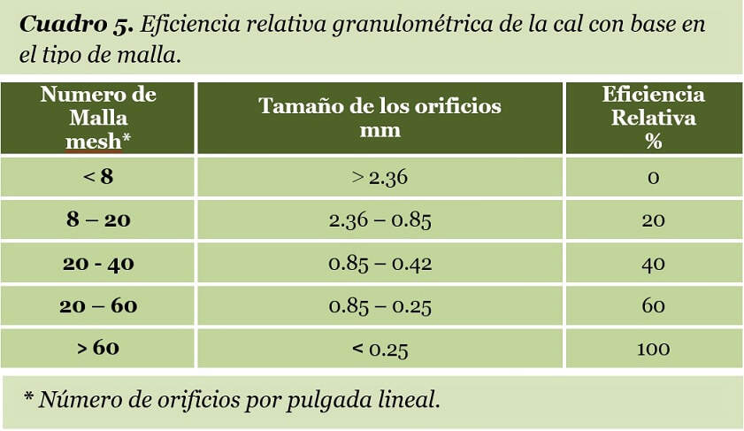 eficiencia relativa