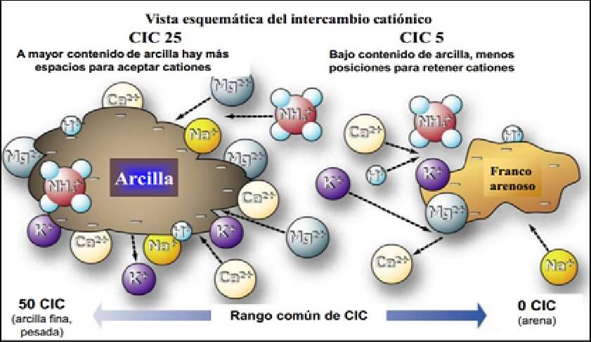  comportamiento de la CIC 