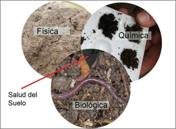 Salud del suelo, Calidad del suelo