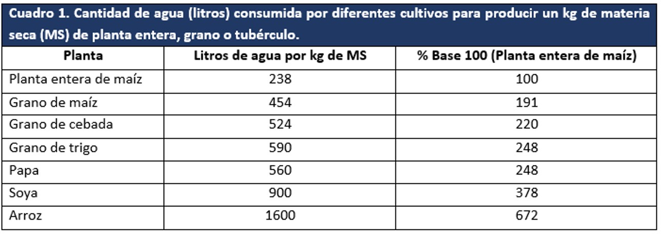 Cantidad de agua