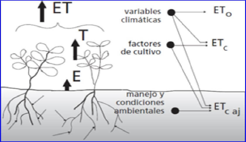  Factores