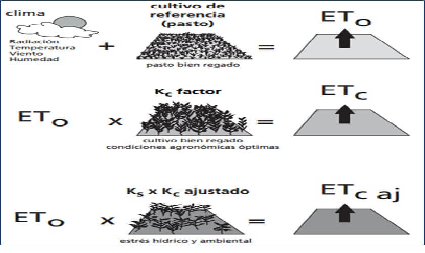  Evapotranspiracion 