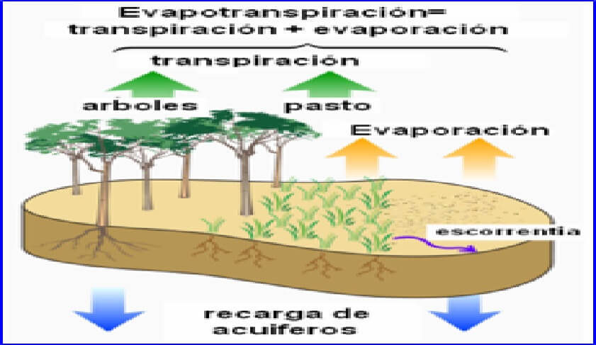  Proceso 