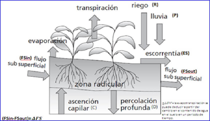  Variables de la formula de balance 