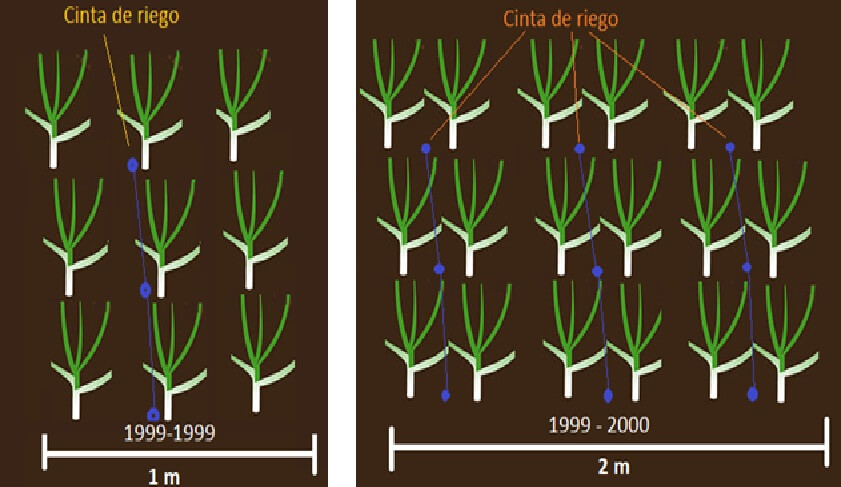  Diseño de camas 