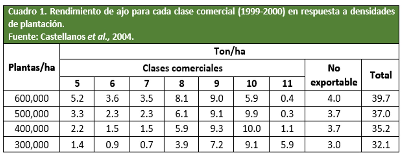 Rendimiento de ajo