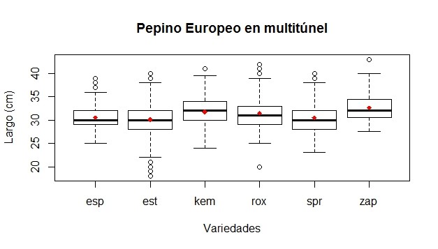 Pepino multi