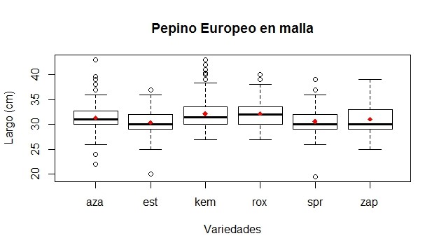 Pepino europeo en malla