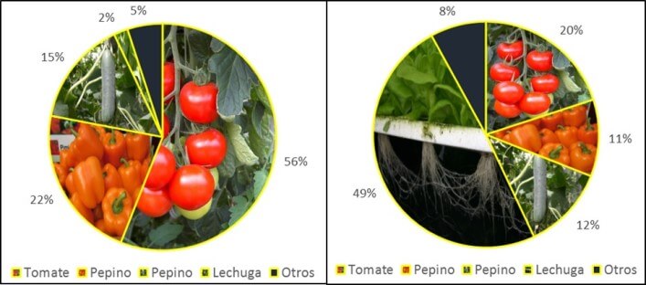 Cultivos establecidos