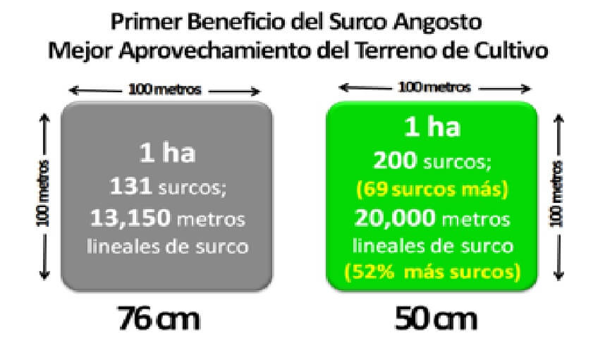 Fundamentos del Sistema de Siembra en Surco Angosto en el Cultivo del