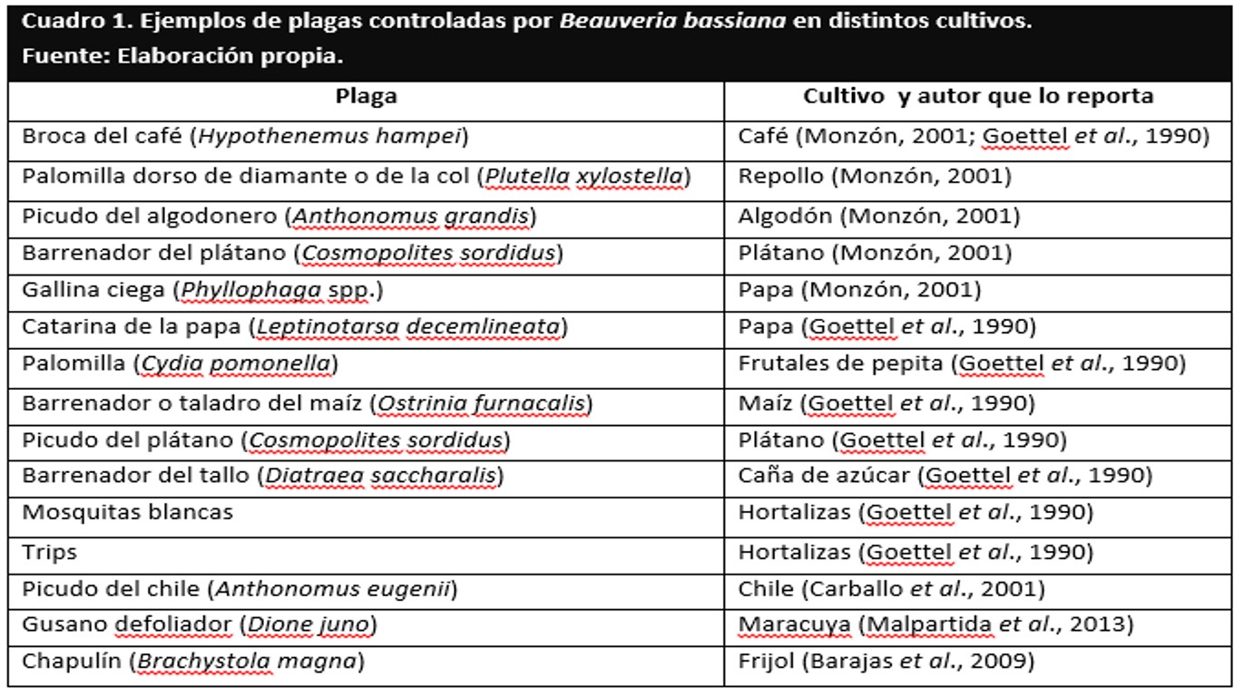 Ejemplos de plagas