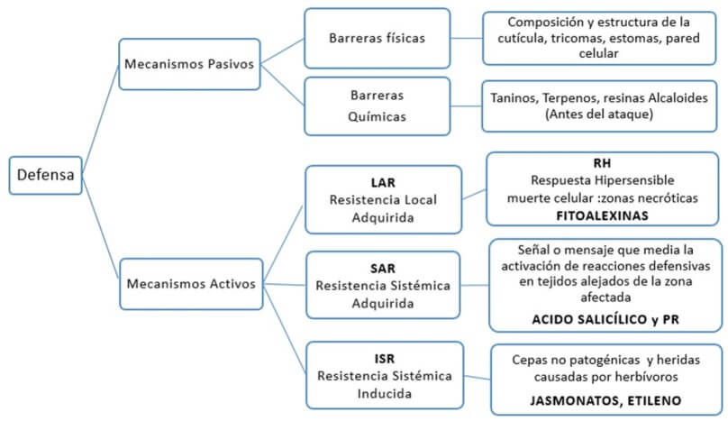 Mecanismos de defensa de las plantas