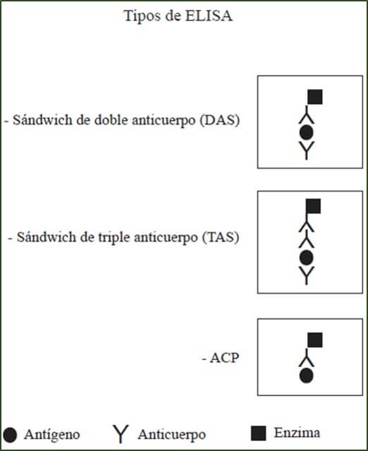 ELISA más usados en fitopatología