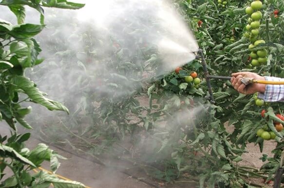 Experiencias de campo con Biocontroladores.